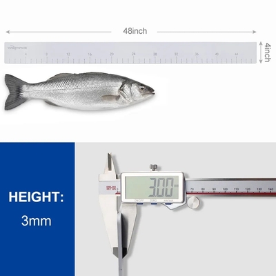 Accessoires pour bateaux Ruler de poisson EVA essentiel avec support adhésif Mesures précises