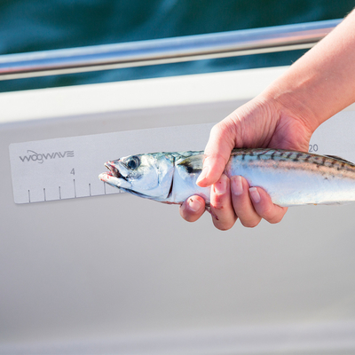 Woowave Marine EVA Ruler de mesure de poisson en mousse pour bateau de pêche personnalisé couleur et taille pour la pêche